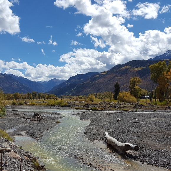 Meet your Posher, Irena - Picture 1 of 1